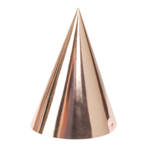 PARTY HAT ROSE 6-P