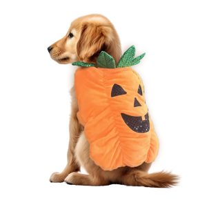 HUNDEKOSTYME PUMKIN